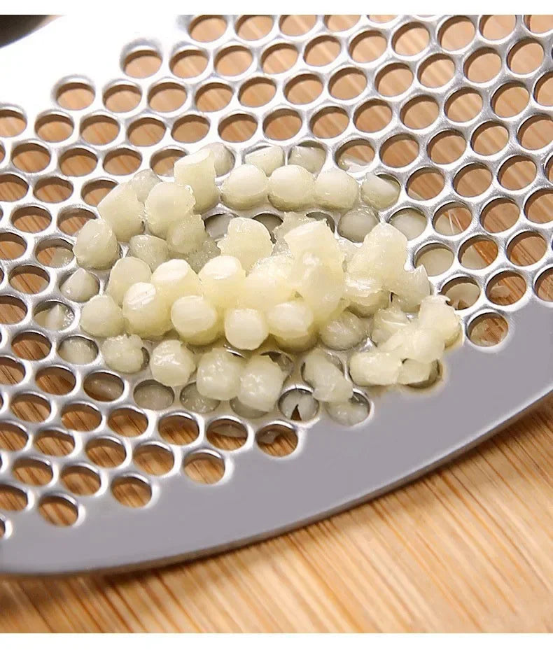 Stainless Steel Manual Garlic Press and Ginger Rocker Crusher